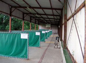 Inside the Driving Range at Bertie's Pitch and Putt